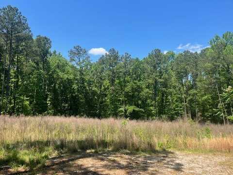 0000 DOOLY SPRINGS, Lincolnton, GA 30817