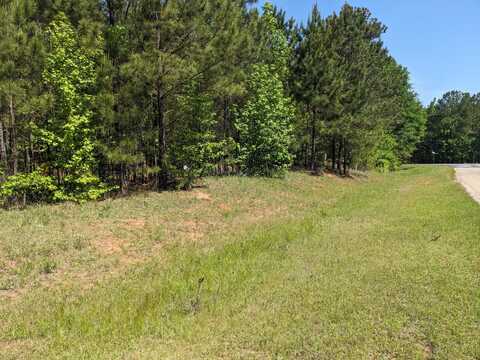 Lot 51 WILLOW WAY, Lincolnton, GA 30817