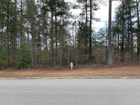 Lot N-53 EUTAW SPRING Trail, North Augusta, SC 29860