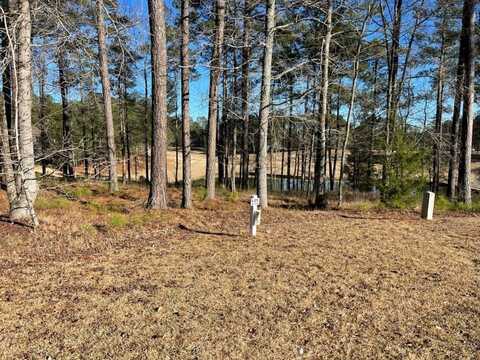 Lot M-45 MARY JOHNSON CT, North Augusta, SC 29860