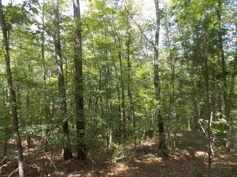 11 DOE RUN, Lincolnton, GA 30817