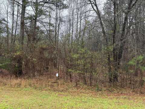 1010 CLINTON-WILLIAMS Road, Lincolnton, GA 30817