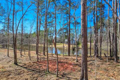 385 CANTERBURY Drive, Evans, GA 30809