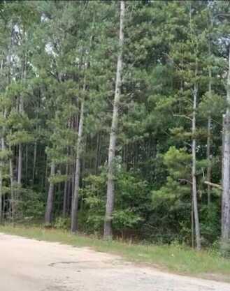 0 BERMUDA HILL Hill, Trenton, SC 29847