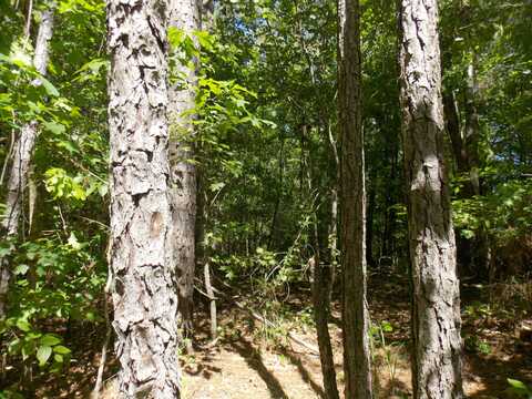 12 DOE RUN, Lincolnton, GA 30817
