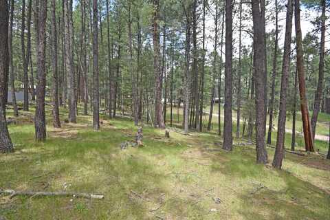 Lots 2 & 3 Hidden Valley Road, Jemez Springs, NM 87025