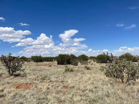 Lots 10 & 1, Manzano, NM 87016