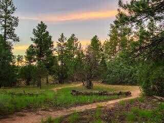 53 Little Arrow Trail, Grants, NM 87020