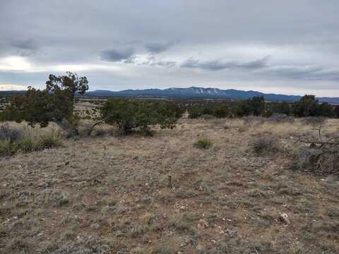 Tract 3 Bridle Path Loop, Mountainair, NM 87036