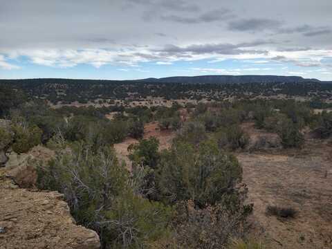 Tract 2 Bridle Path Loop, Mountainair, NM 87036