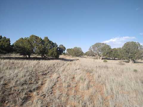 Outskirts Road, Mountainair, NM 87036