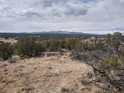 Tract 5 Bridle Path Loop, Mountainair, NM 87036