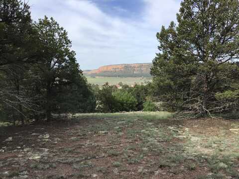 Lot 6 Sunflower Drive, Ramah, NM 87321