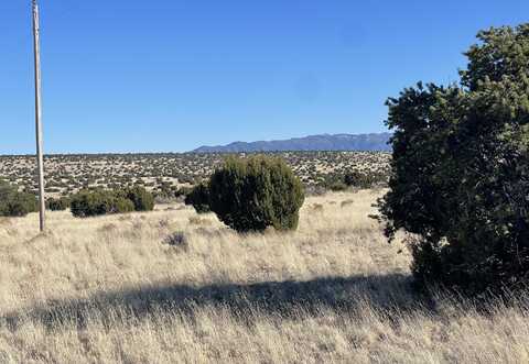 Lot 24 Pinon Springs Road, Magdalena, NM 87825