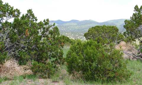 67 Pinon Springs Road, Magdalena, NM 87825