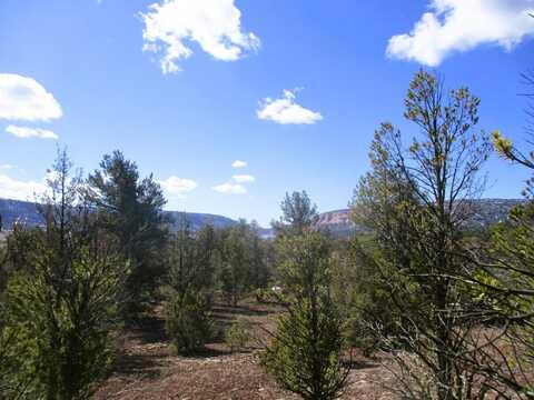 Lot 23 Copperweed Road, Ramah, NM 87321