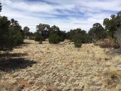 Lot 694 Fred Road, Ramah, NM 87321
