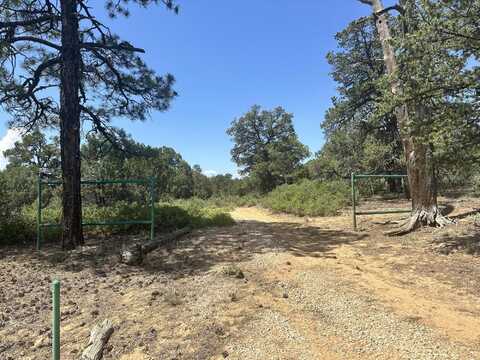 23 Sam Tank Road, Pie Town, NM 87827