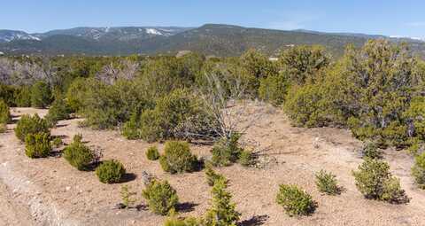 Gunsmoke Road, Sandia Park, NM 87047