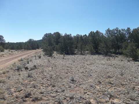 Cerro Leonides - Tierra Verde Road, Ramah, NM 87321