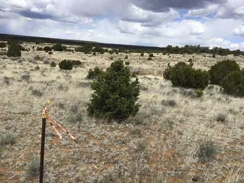 Lot 390 Commanche Drive, Ramah, NM 87321