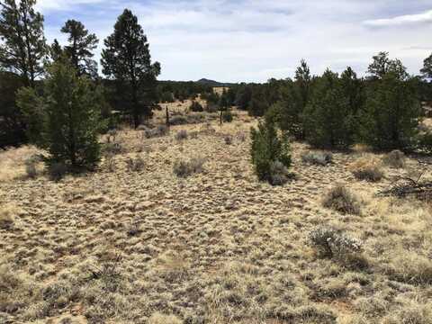Lot 682 Che Loop, Ramah, NM 87321
