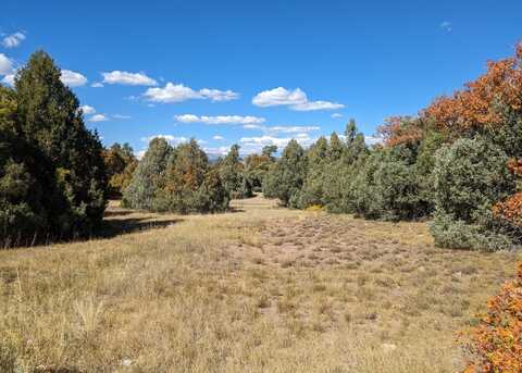 Lot Near Chama, Tierra Amarilla, NM 87575