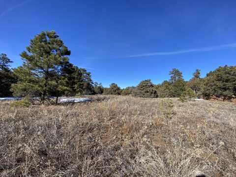 10904 Nm 337, Tijeras, NM 87059