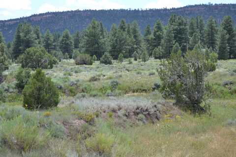 Timberlake Ranch, Ramah, NM 87321