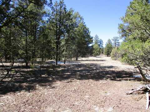 Lot 5 Copperweed Road, Ramah, NM 87321