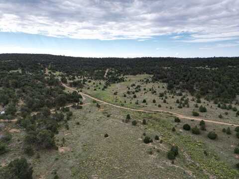 Candy Kitchen Road lot: 14, Ramah, NM 87321