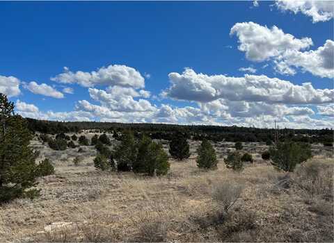 Lot 14 Candy Kitchen Road, Ramah, NM 87321