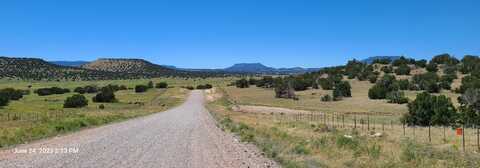 Lot 6 Old Thomas Place, Datil, NM 87821