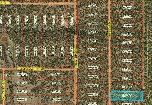 Lot 618 Betty Ln  