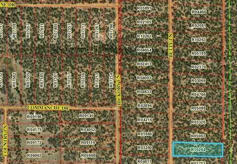 Lot 618 Betty Lane, Ramah, NM 87321