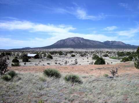 7 Cajun Court, Edgewood, NM 87015