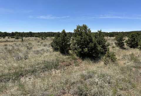 2 Rabbit Circle, Pie Town, NM 87827