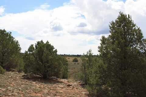 398-399 Cheyenne Drive, Ramah, NM 87321