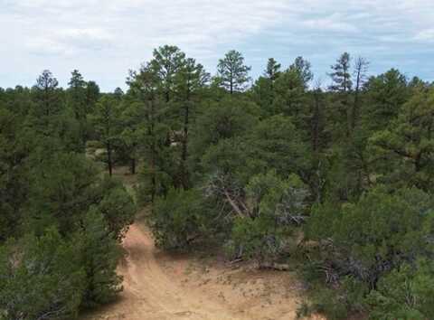 Lot 6 Horseshoe Loop, Ramah, NM 87321