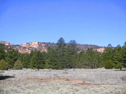 Lot 16 Culebra Drive, Ramah, NM 87321