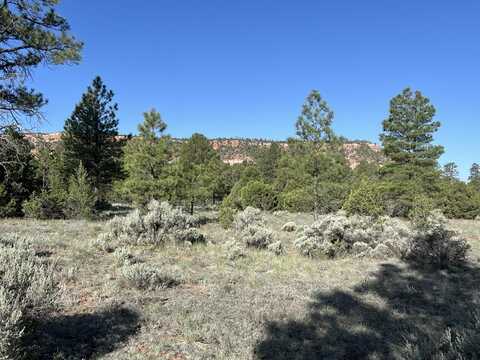 Lot 9 Sunrise Way, Ramah, NM 87321