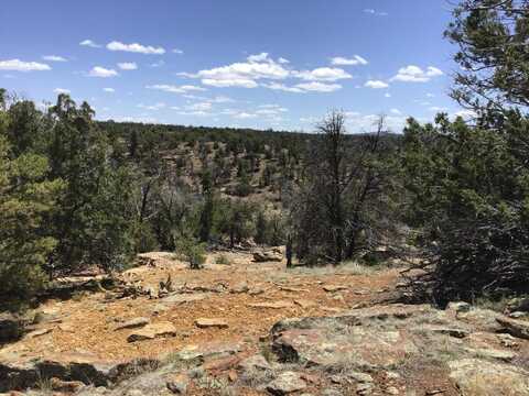 Lot 207 Meadow Drive, Ramah, NM 87321