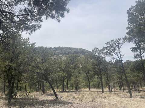 Lot 30 Hop Canyon, Magdalena, NM 87825