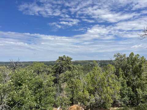 Lot 48 Ridge Road, Ramah, NM 87321