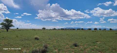 Nm Hwy 41 At Three 7'S Ranch Road, Willard, NM 87063