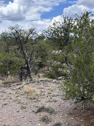 Lot 79 Abbe Springs, Magdalena, NM 87825