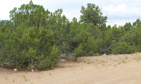 250 Five Hills Drive, Tijeras, NM 87059