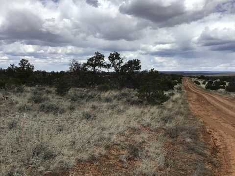 Lot 39 Country Lane, Ramah, NM 87321