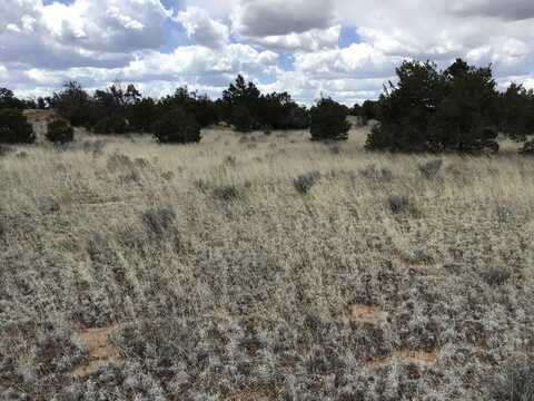 Country Lane lot: 38, Ramah, NM 87321