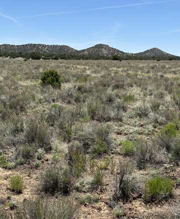 Unk Blue Hills Trail, Pie Town, NM 87827